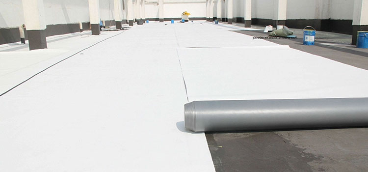 Thermoplastic Polyolefin Roofing Gorman