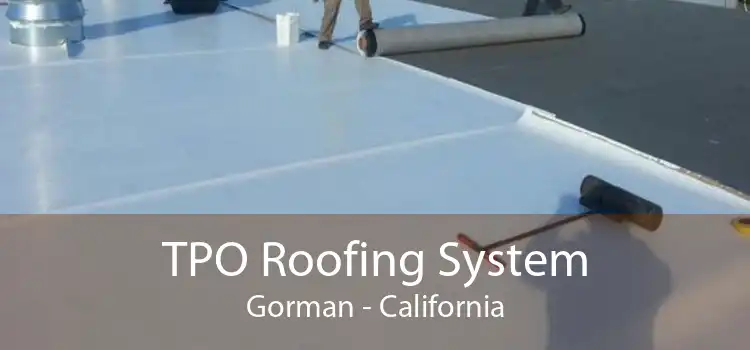 TPO Roofing System Gorman - California